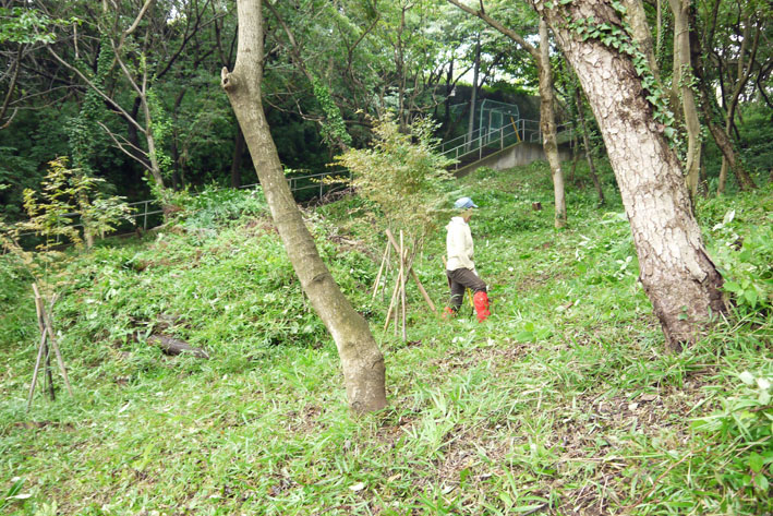 二手に別れ、六国見山森林公園の手入れを実施（7・21）_c0014967_157298.jpg