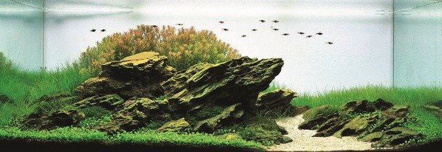 f0200477_20272987.jpg
