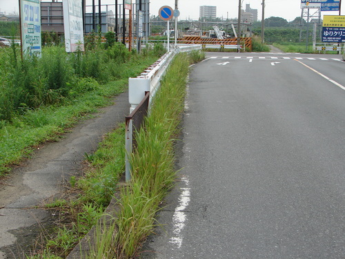 d0250781_1485168.jpg