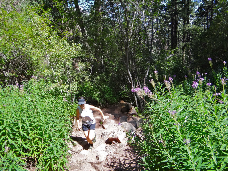 Colorado Trail running Day.1 Boulder Green Mountain 2012/07/21 _b0220886_1139697.jpg