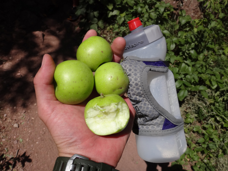 Colorado Trail running Day.1 Boulder Green Mountain 2012/07/21 _b0220886_13283560.jpg