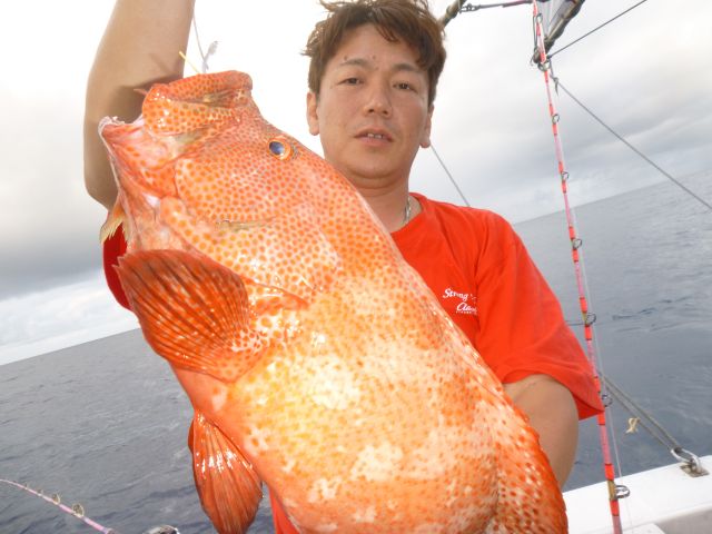 a0133388_7312273.jpg