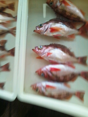 暑い暑いね~_d0183392_22593940.jpg