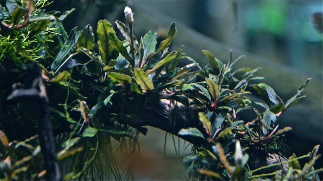 e0240394_45452.jpg