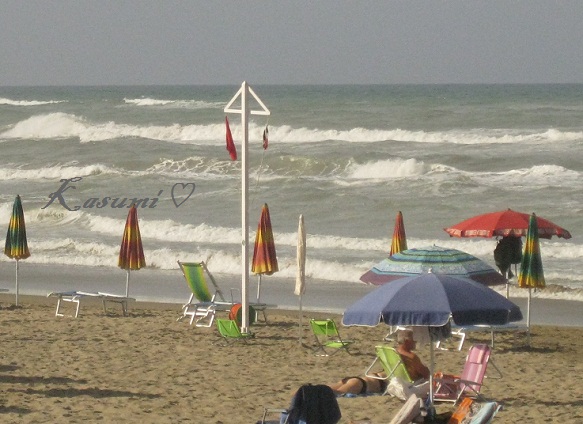 b0096600_6392472.jpg