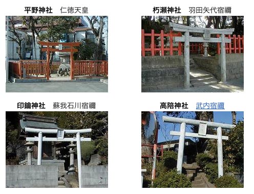サイクリングと志賀海神社と香椎宮_f0071303_12252336.jpg