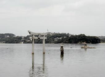 サイクリングと志賀海神社と香椎宮_f0071303_1226742.jpg