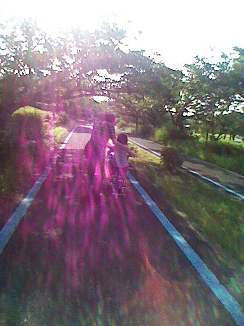 サイクリングと志賀海神社と香椎宮_f0071303_12335210.jpg