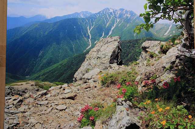 富士パインズパーク 富士山大好き 写真は最高