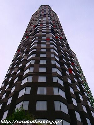 e0145805_1656062.jpg