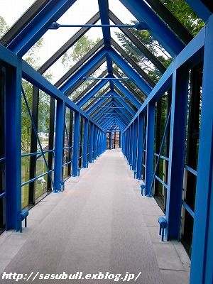 e0145805_173514.jpg