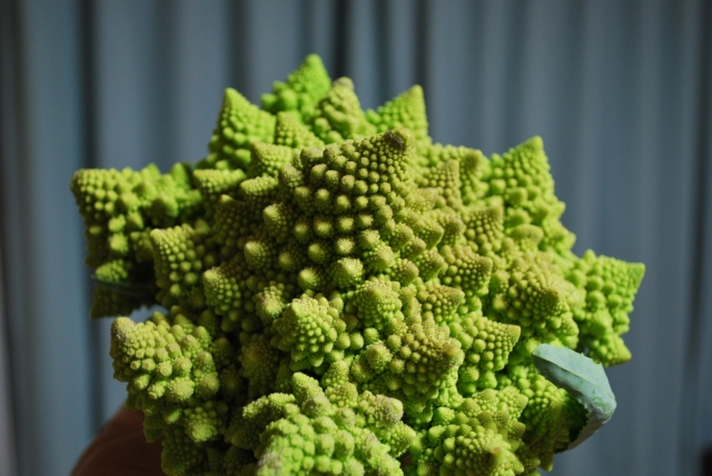 d0051707_21434748.jpg