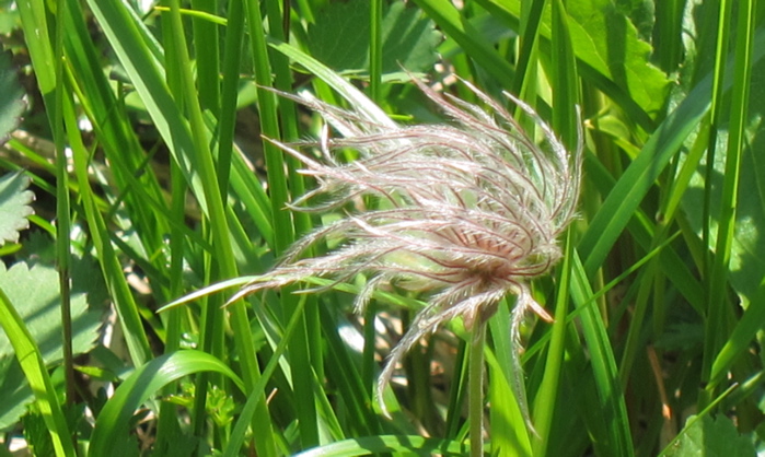 飛良泉・大吟醸 金賞受賞酒（2012.07.24 TUE.）_c0084908_219364.jpg