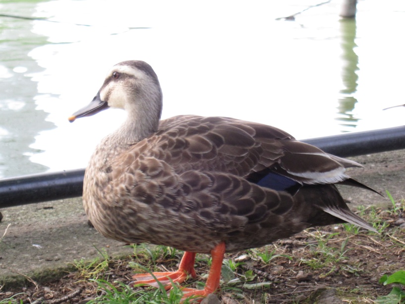 f0141609_0242131.jpg