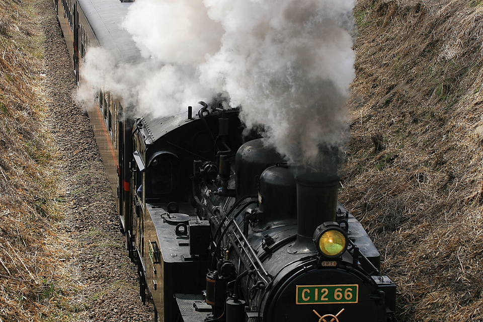 香り?匂い? - 2012年・真岡 - _b0190710_0123868.jpg