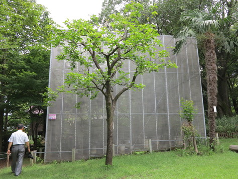 所沢文化幼稚園 梅沢定彦先生_d0130714_21283380.jpg