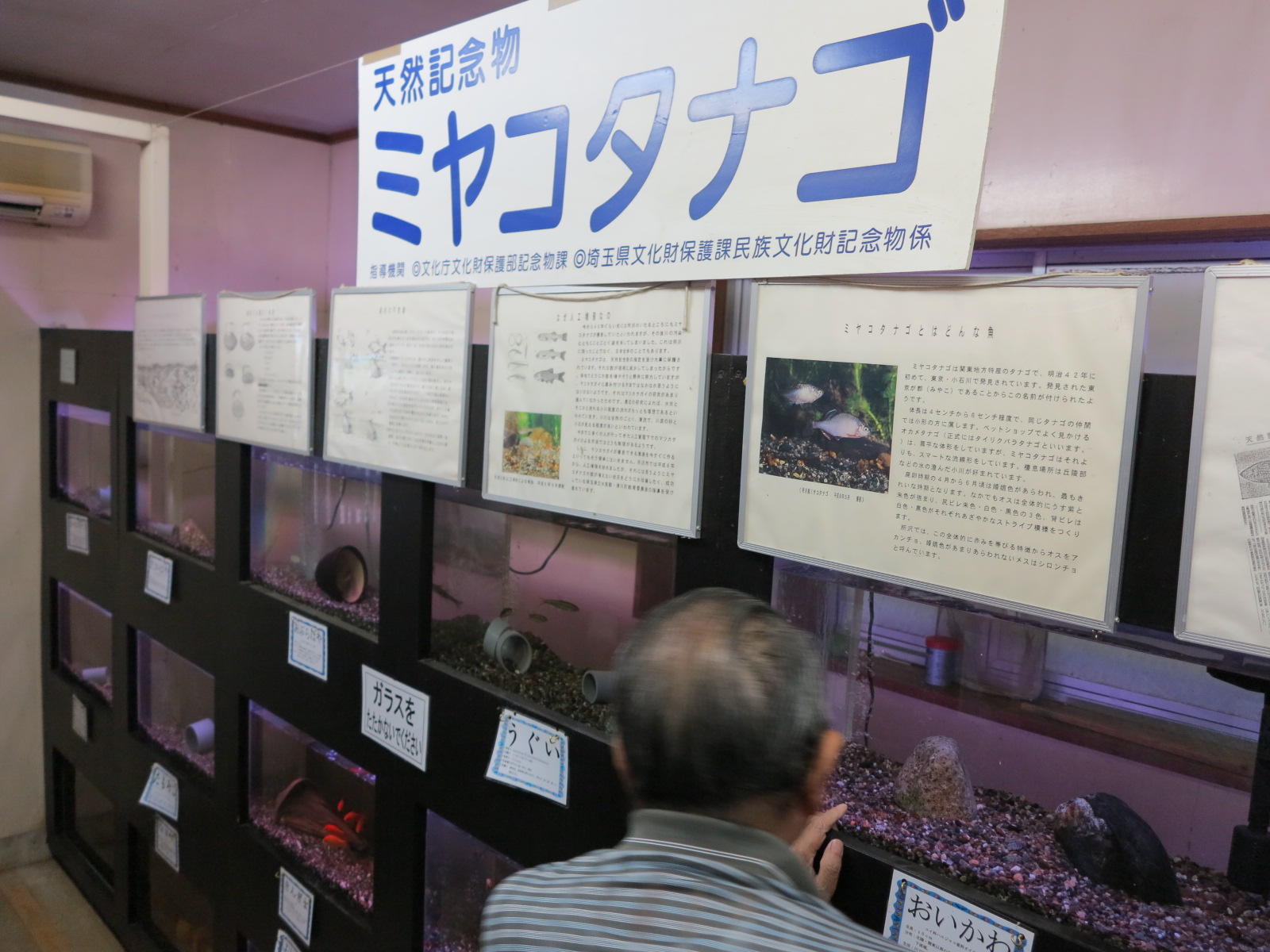 所沢文化幼稚園 梅沢定彦先生_d0130714_2129535.jpg