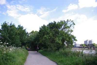e0114020_59647.jpg