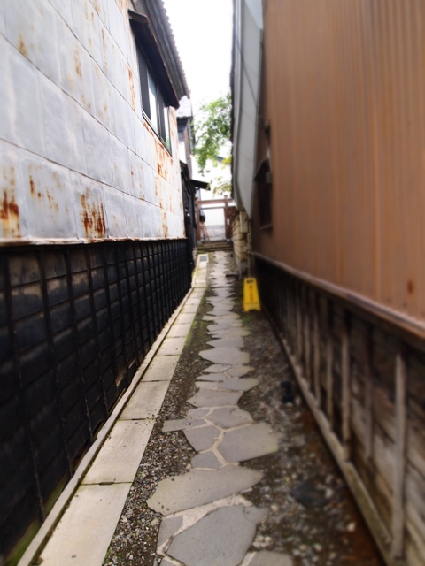 b0177323_19263887.jpg