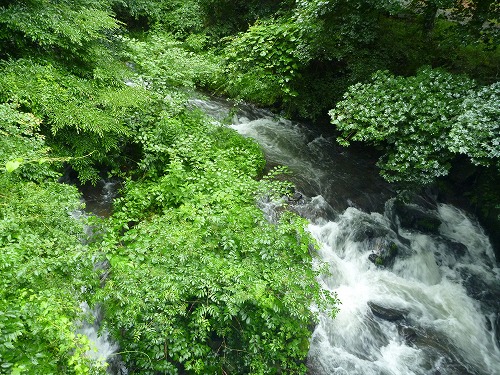 d0227723_18581660.jpg