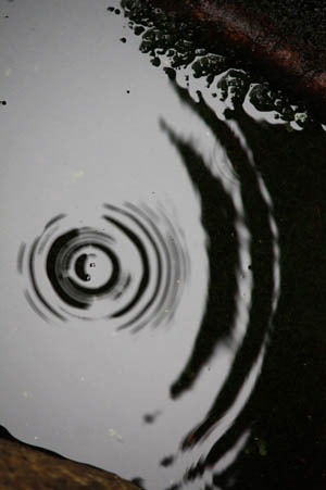 突然の激しい雨に_b0199526_1594181.jpg