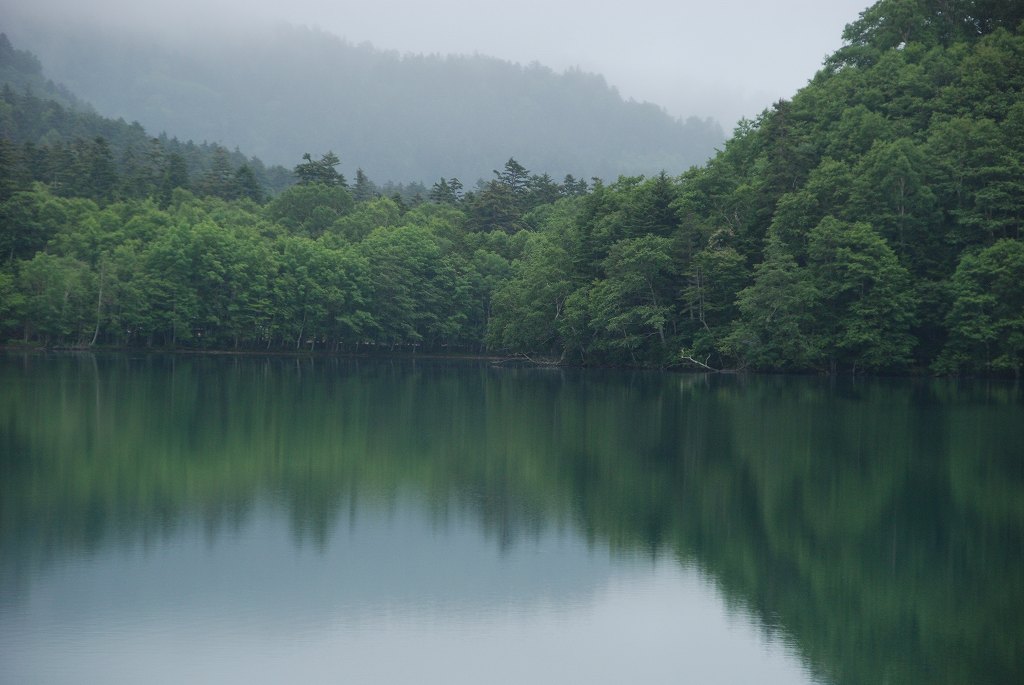 道東大自然風景　野付半島　Ⅰ_d0109428_1911172.jpg