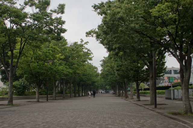 a0122932_0321599.jpg