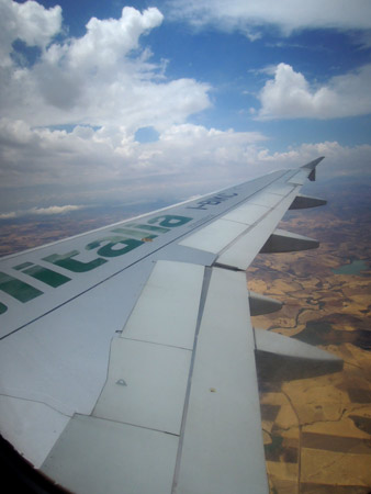 c0077533_109471.jpg