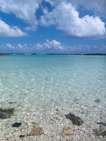 a0157135_1640534.jpg