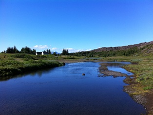 b0135835_138415.jpg