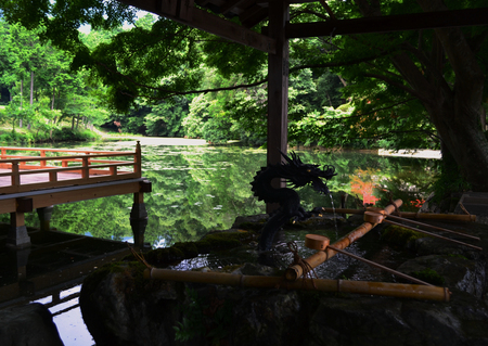 高鴨神社の謎？_a0255937_6434514.jpg