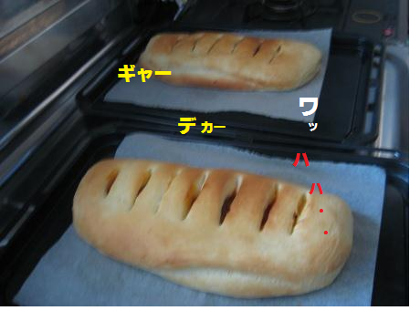 e0255638_1031435.png
