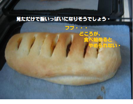 e0255638_1035279.png