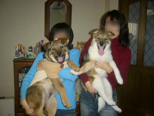 ジャック(元ジェイソン)が悪性リンパ腫に・・・_a0126743_0495544.jpg