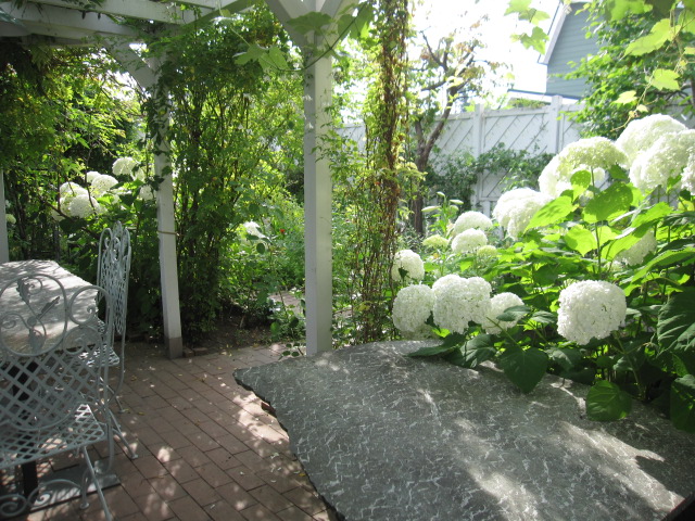 a0279743_1432996.jpg