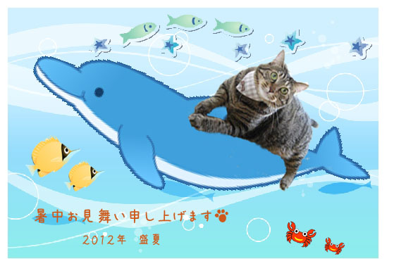 イルカに乗った猫~ワイルドでしょ?_b0134745_14331275.jpg