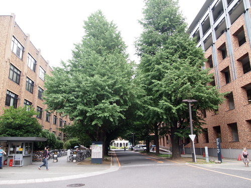 e0183949_10384879.jpg
