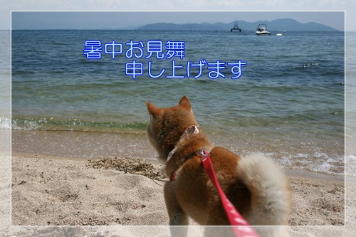宇治散策_c0049950_22215876.jpg
