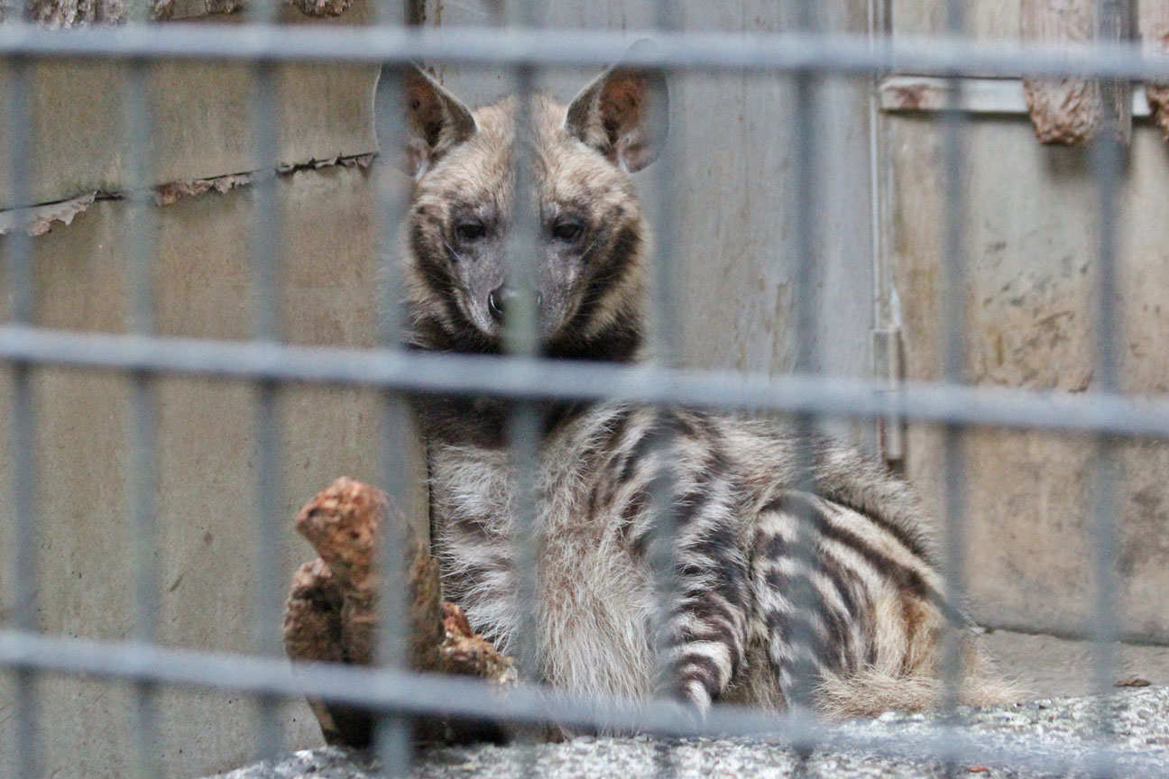 羽村市動物公園へ行って来ました♪_d0227252_12541385.jpg