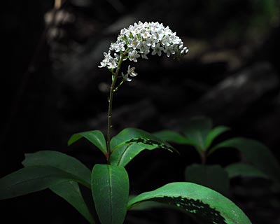 e0035757_18415087.jpg