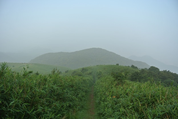 門司の戸ノ上山に . . .　_a0171959_10525158.jpg