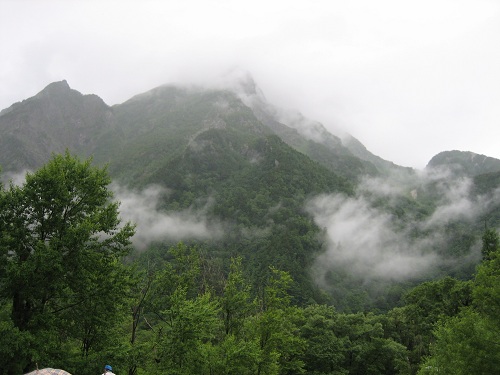d0164761_1337541.jpg