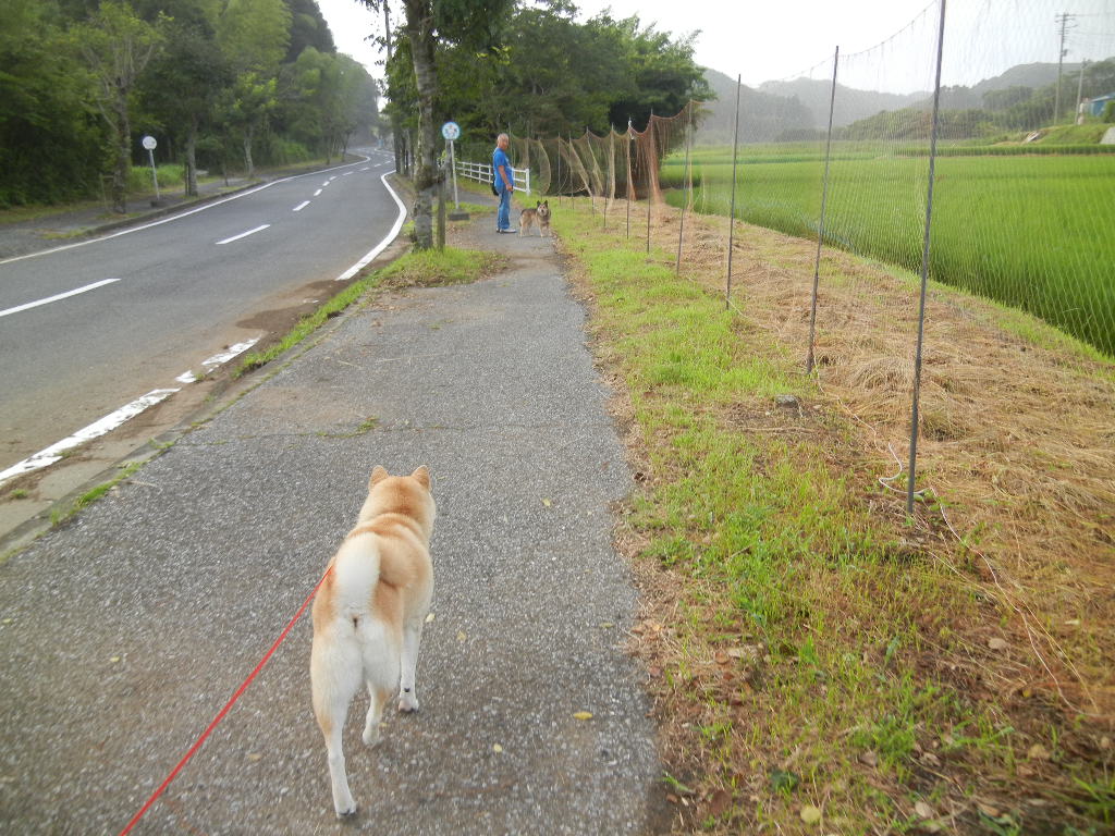 ’12,7,24(火)2年ぶりに夏ちゃんに会ったよ!_f0060461_924393.jpg