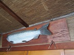 ぐるっとグルメぐりにいこうよ!!その1_a0243562_17504770.jpg