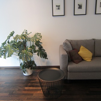 b0091164_183950.jpg
