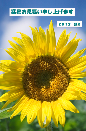 d0162377_211482.png