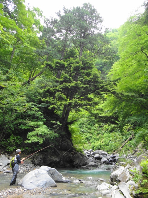 c0157482_20344676.jpg