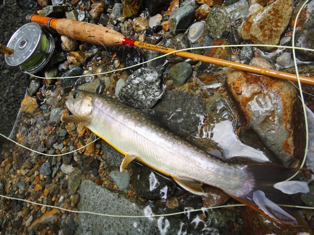 c0157482_2124164.jpg