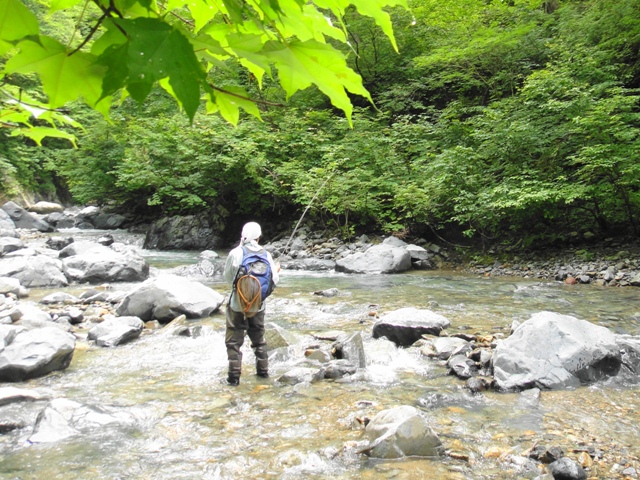 c0157482_2151769.jpg