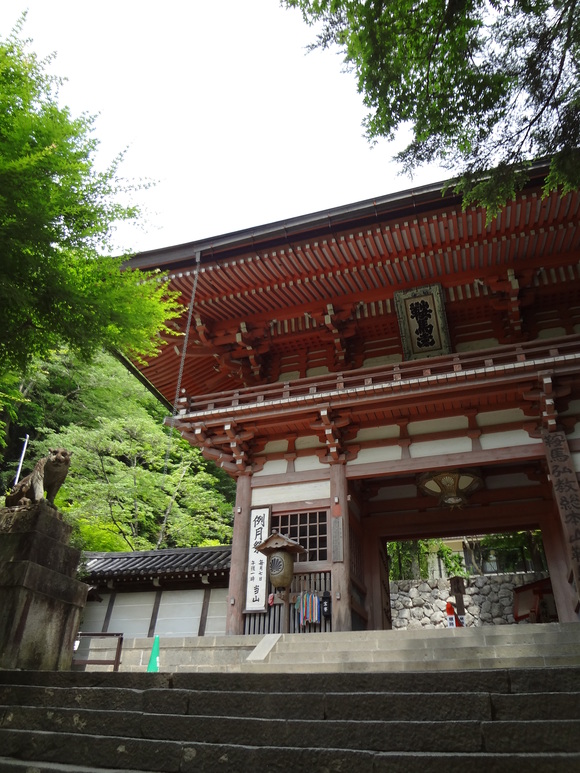 b0125384_20242274.jpg